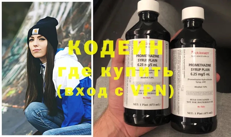 продажа наркотиков  Заводоуковск  Кодеиновый сироп Lean Purple Drank 